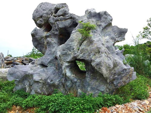 贵州天然黄蜡石石