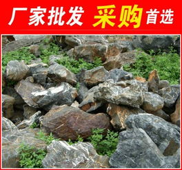 太湖石,惠州形态各异太湖石,景观石大量批发