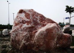 2010.06.10.景观石 021