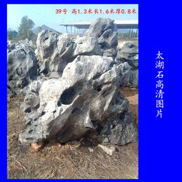 【奇石太湖石批发广东奇石太湖石厂家在哪里园林景观石图片】-