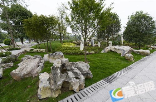 好去处 涪陵又一公园免费对外开放啦 大赞