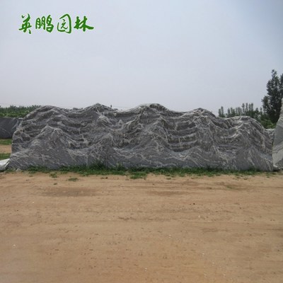 景观石刻字大石头泰山石原石 大型雪浪石观景石