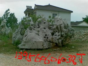 大型太湖石在园林景观中的应用与价值