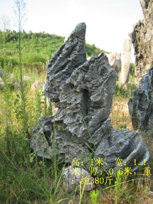 英德石 优质景观石供应与园林造景的艺术