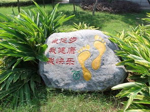 园林之骨 景观石的艺术与意蕴